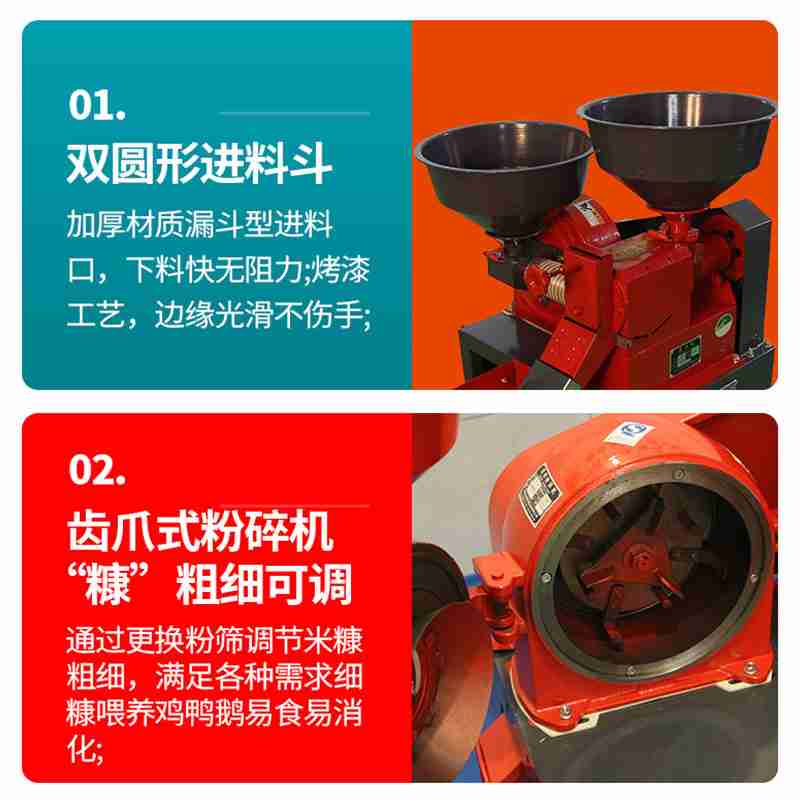 长江宜昌段葛洲坝下游大江水域,数只长江江豚在逐浪嬉戏。(湖北日报全媒记者 刘曙松 摄)
