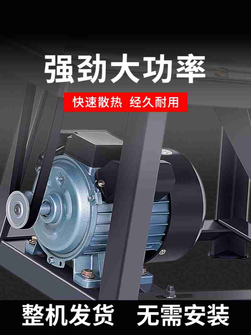 鸟生军在查阅资料。胡章华供图