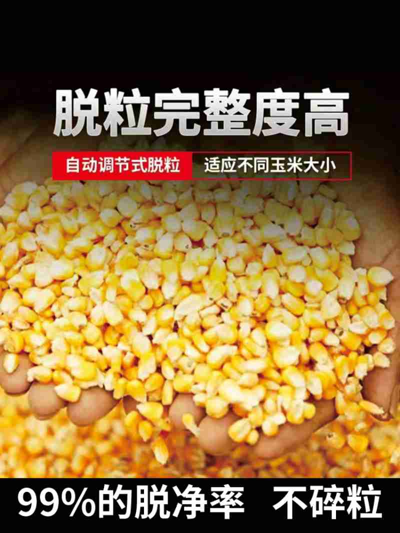 在突泉县赛银花现代农业生态园,手机变身“新农具”,种植户可以随时随地查看棚内温度、湿度等数据。曾令刚 摄